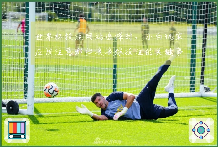 世界杯投注网站选择时,小白玩家应该注意哪些滚滚球投注的关键事项