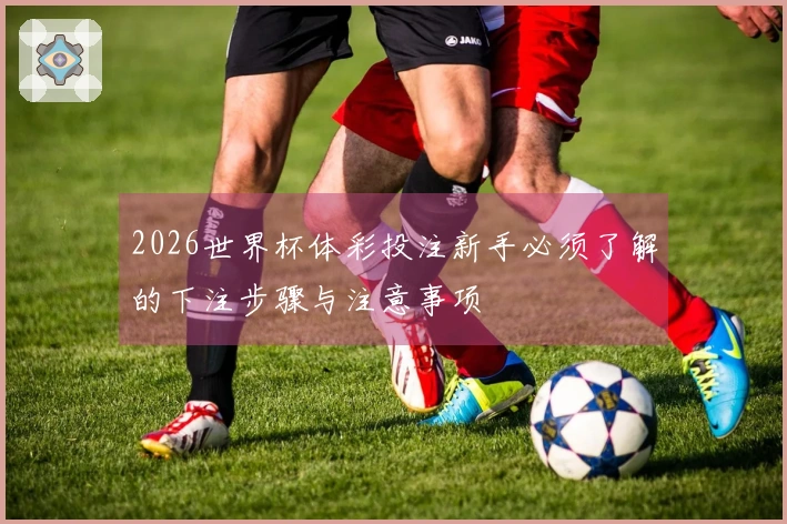 2026世界杯体彩投注新手必须了解的下注步骤与注意事项